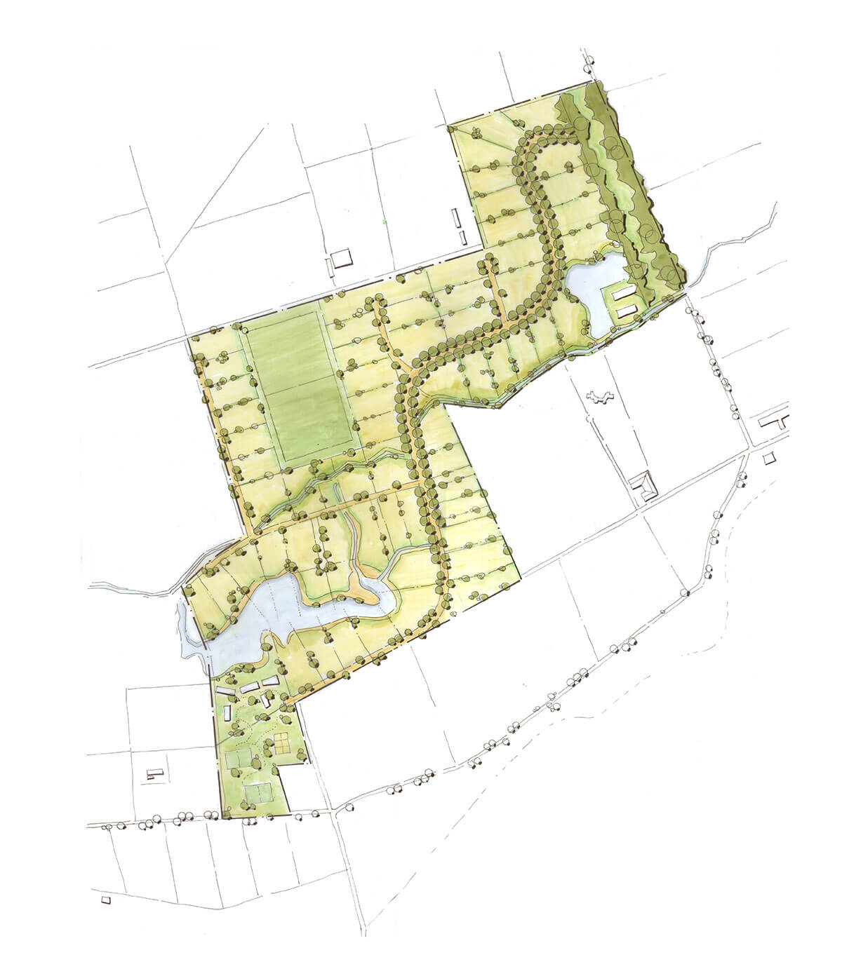 Plan Maestro Panquehue