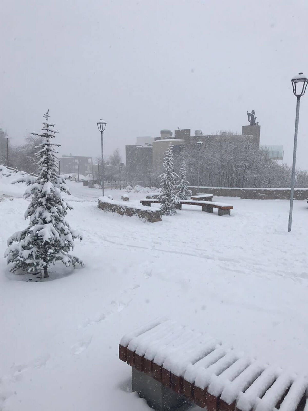 Plaza Las Flores