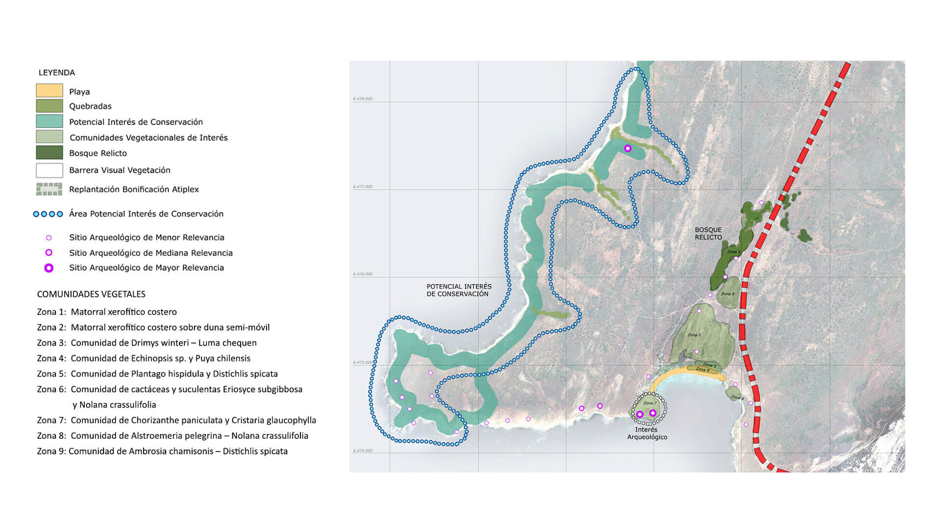 Plan Maestro Agua Amarilla