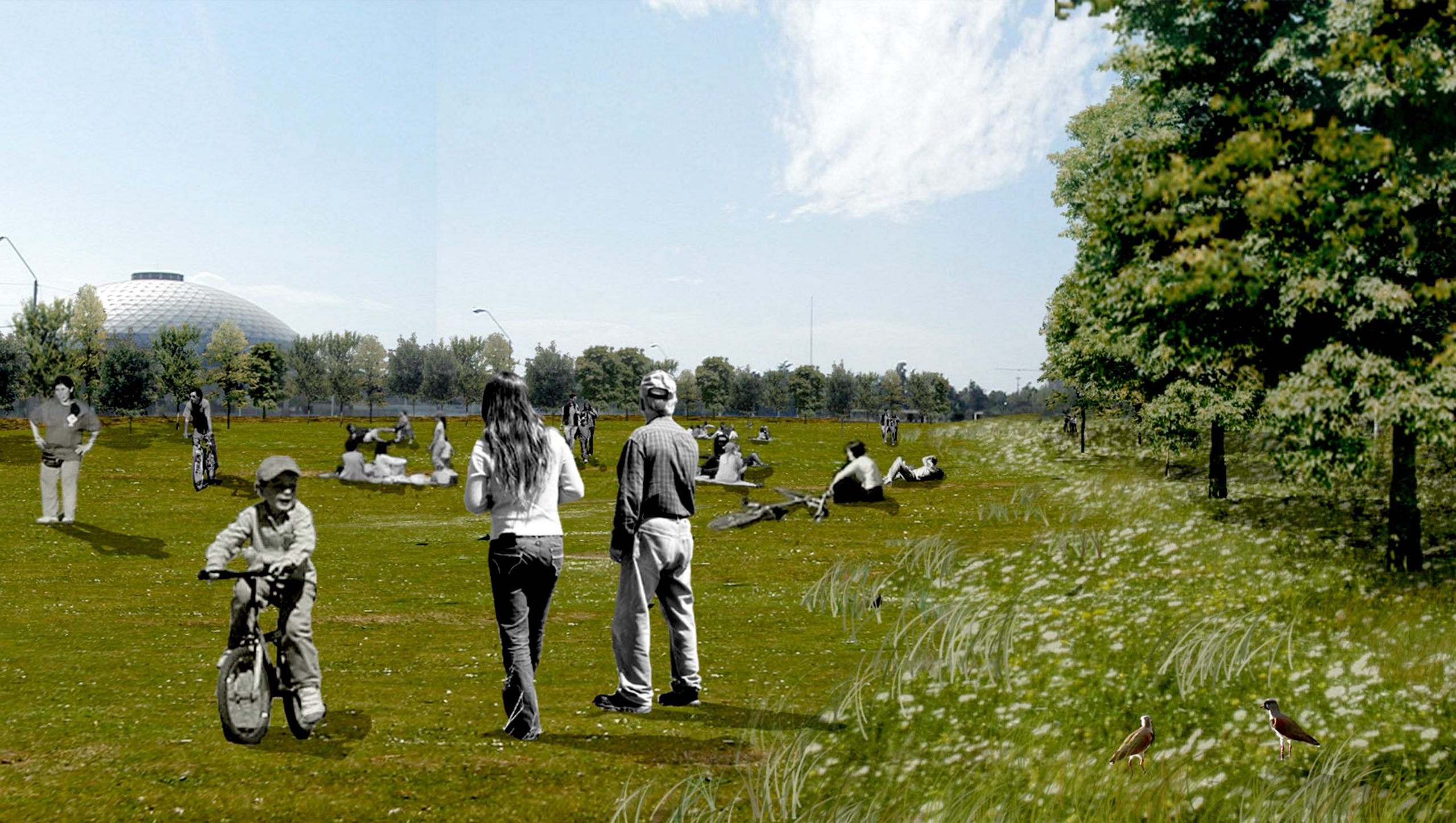 Plan Maestro Parque O’Higgins