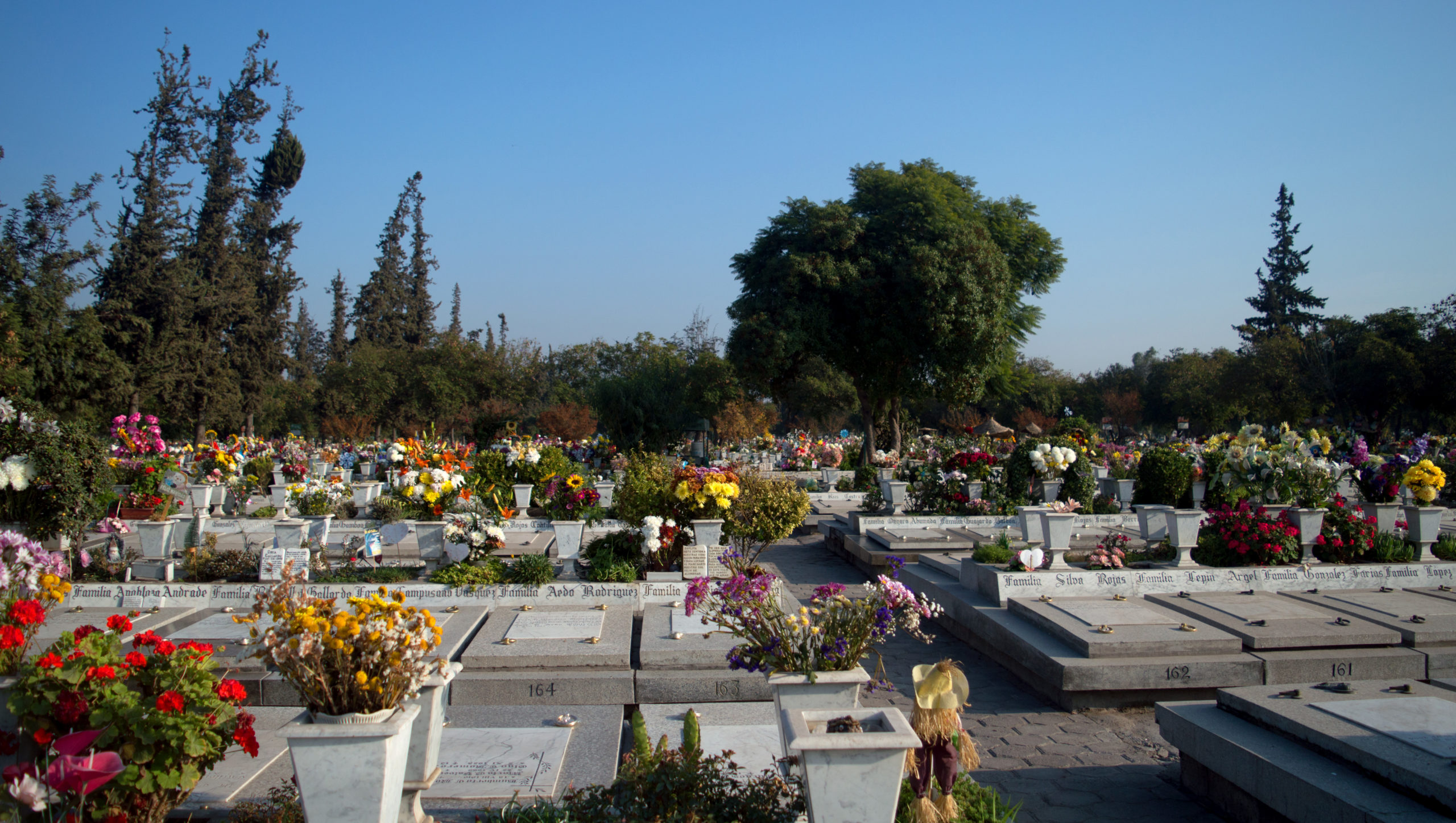 Plan Maestro Cementerio Metropolitano