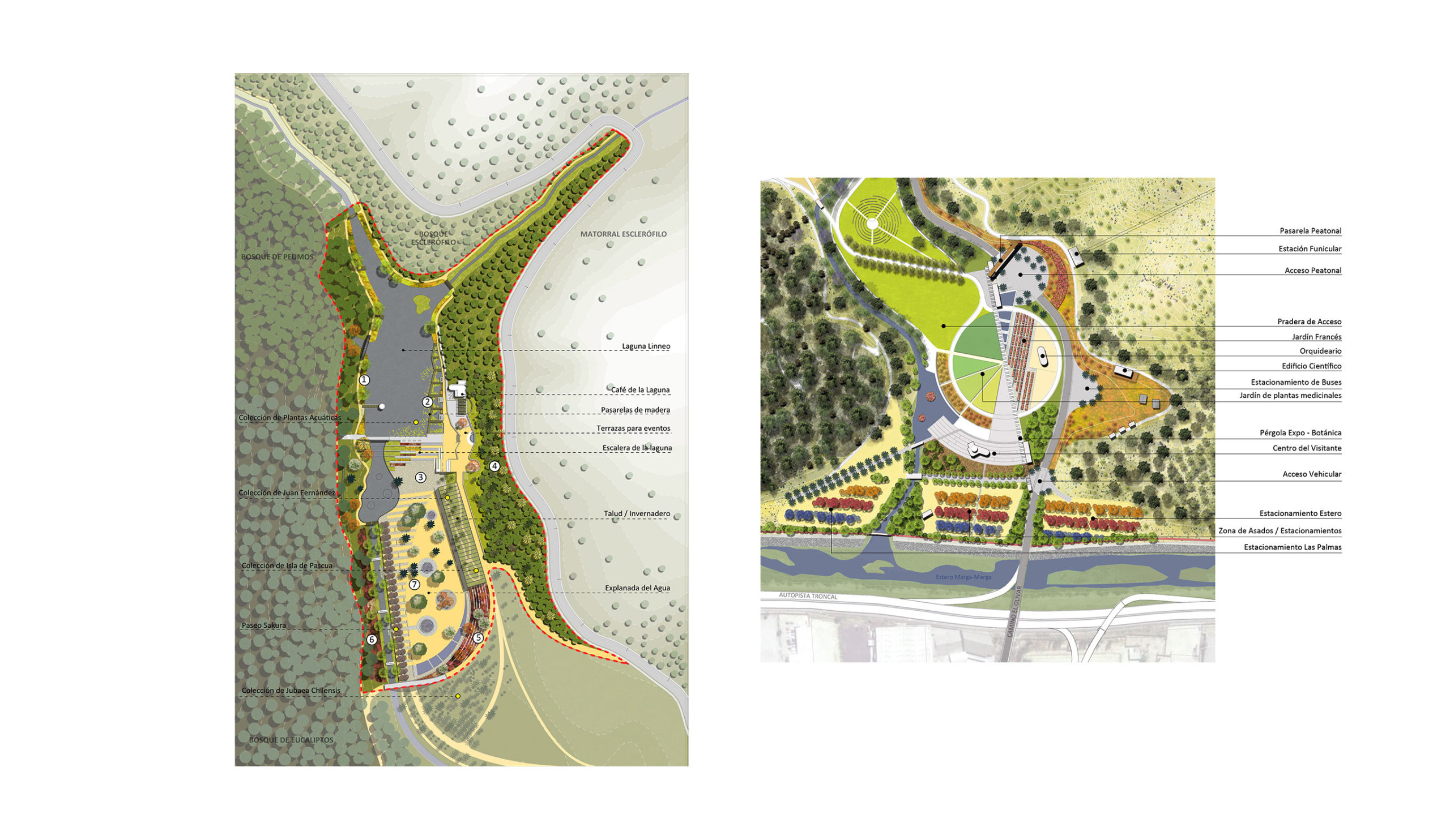 Plan Maestro Jardín Botánico Nacional