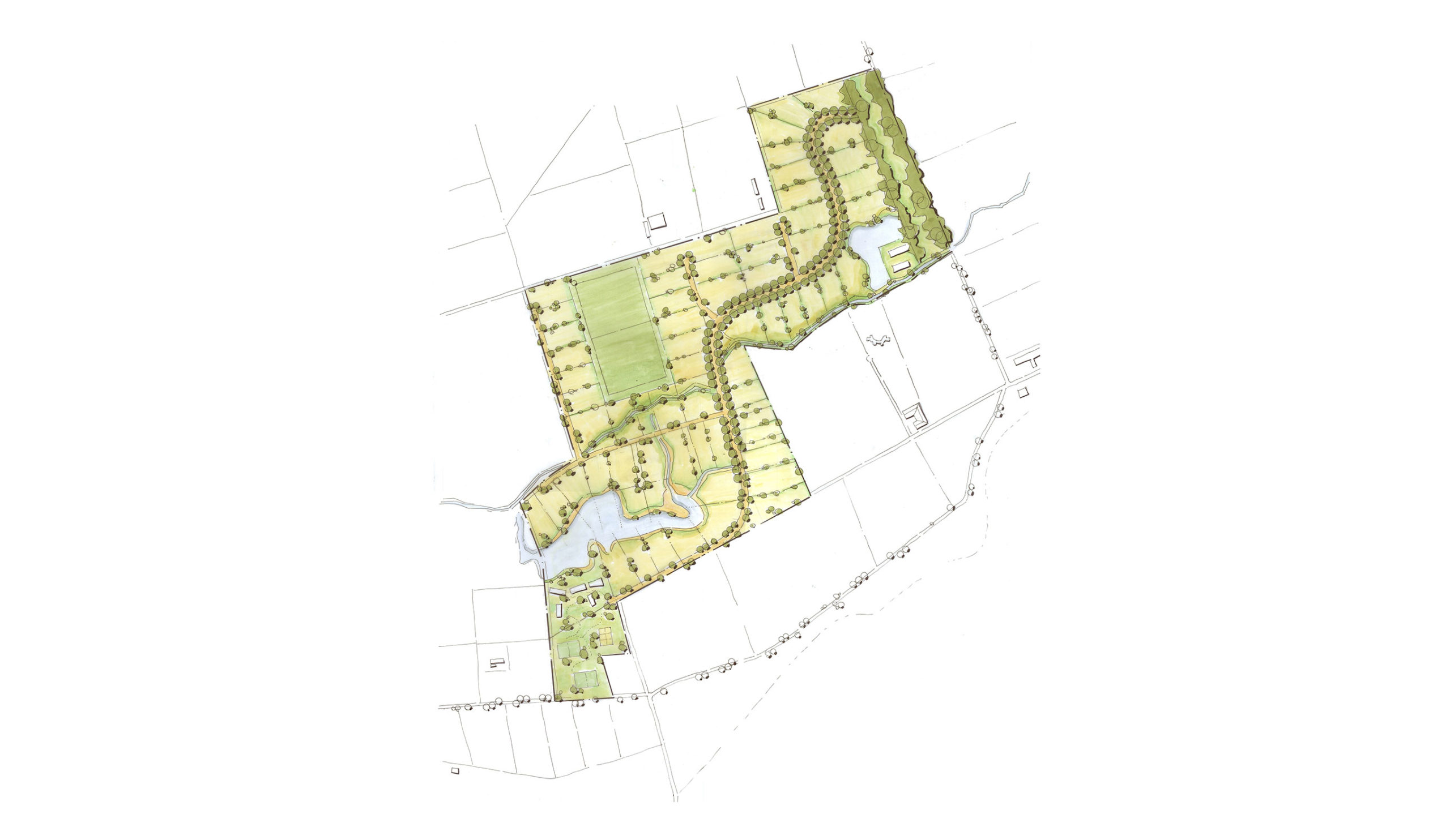 Plan Maestro Panquehue