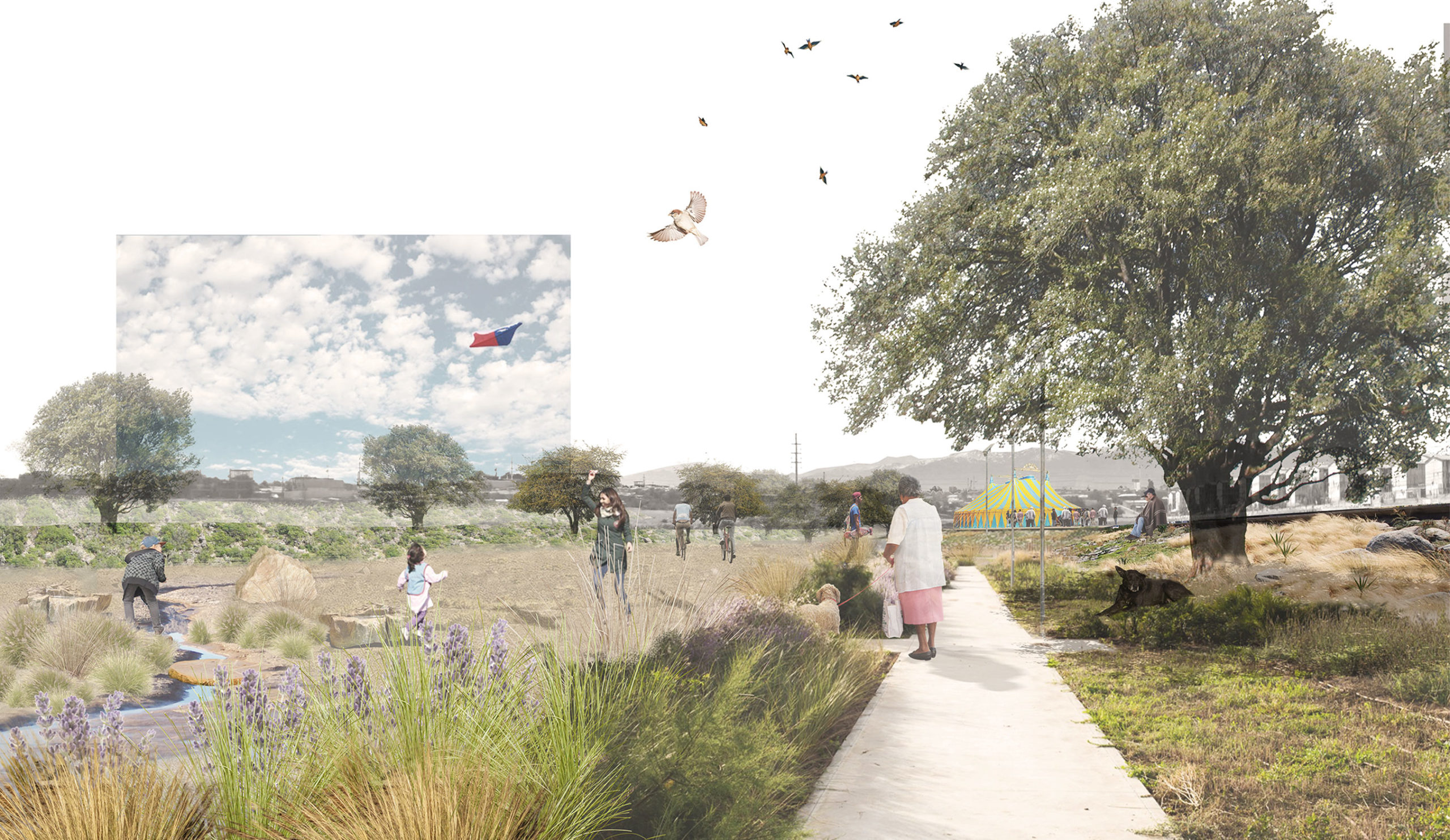 Propuesta Concurso Parque de la Aguada, 2º Lugar