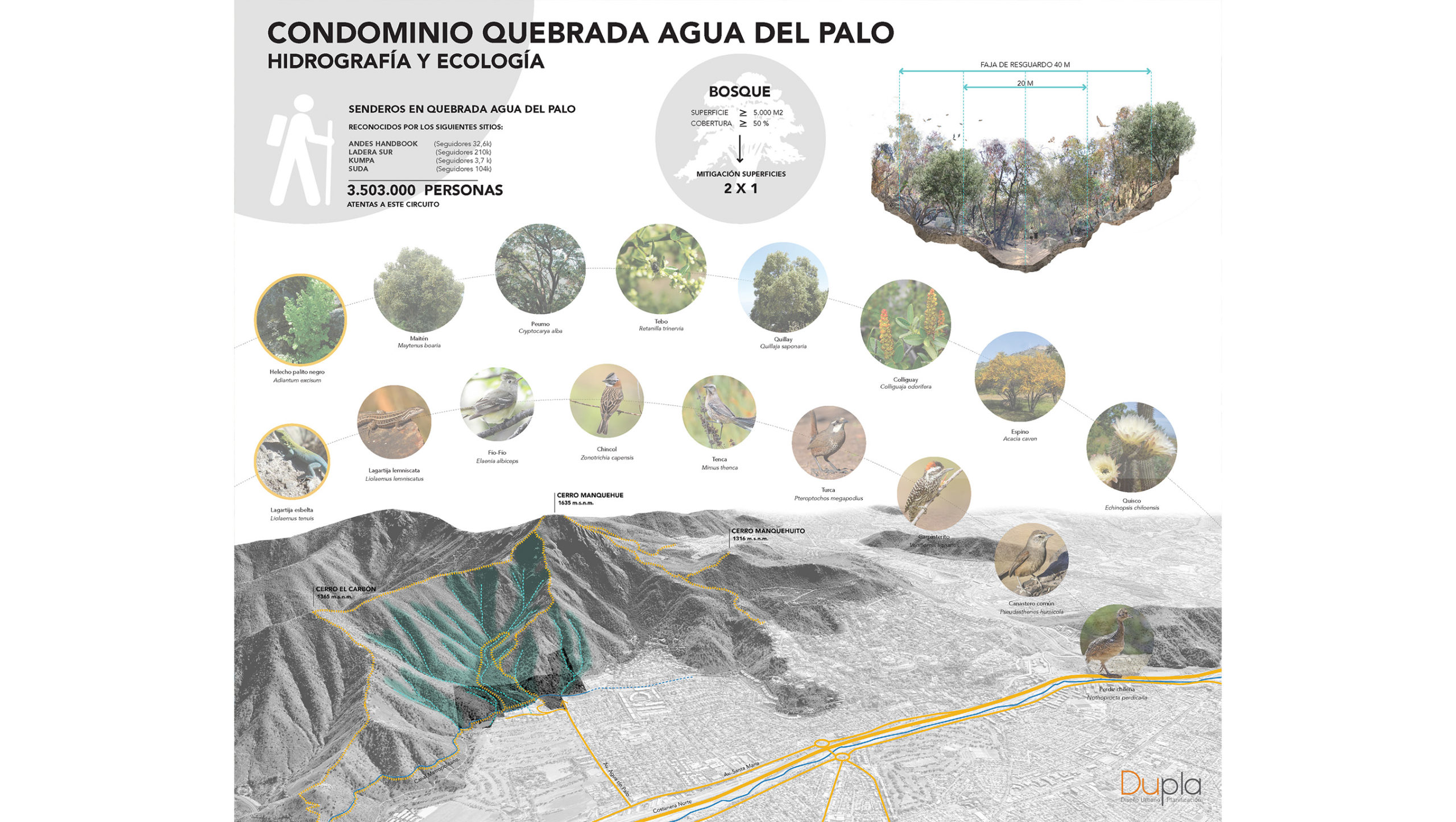 Propuesta Concurso Condominio Quebrada Agua del Palo