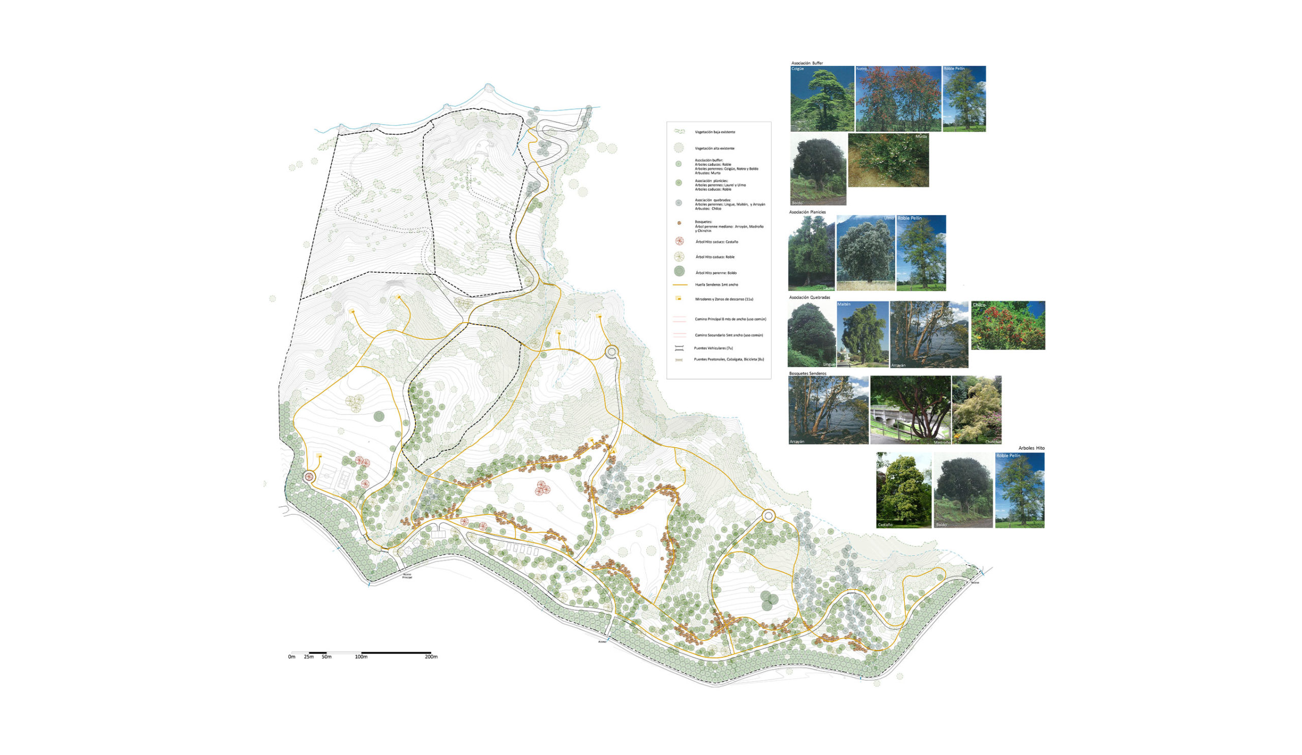 Plan Maestro Panguipulli La Palma
