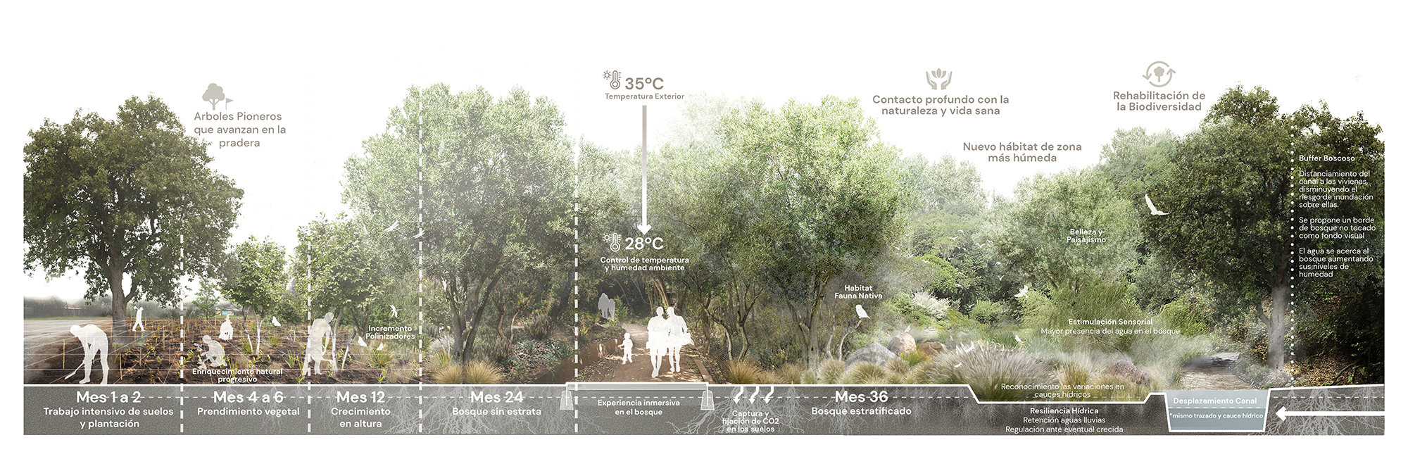 Propuesta Concurso Parque La Reina, Mención Honrosa